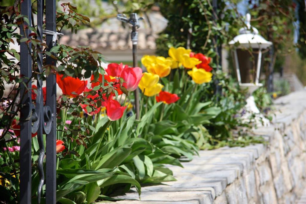 Logis Hotel Restaurant La Porte Des Cevennes อ็องดูซ ภายนอก รูปภาพ