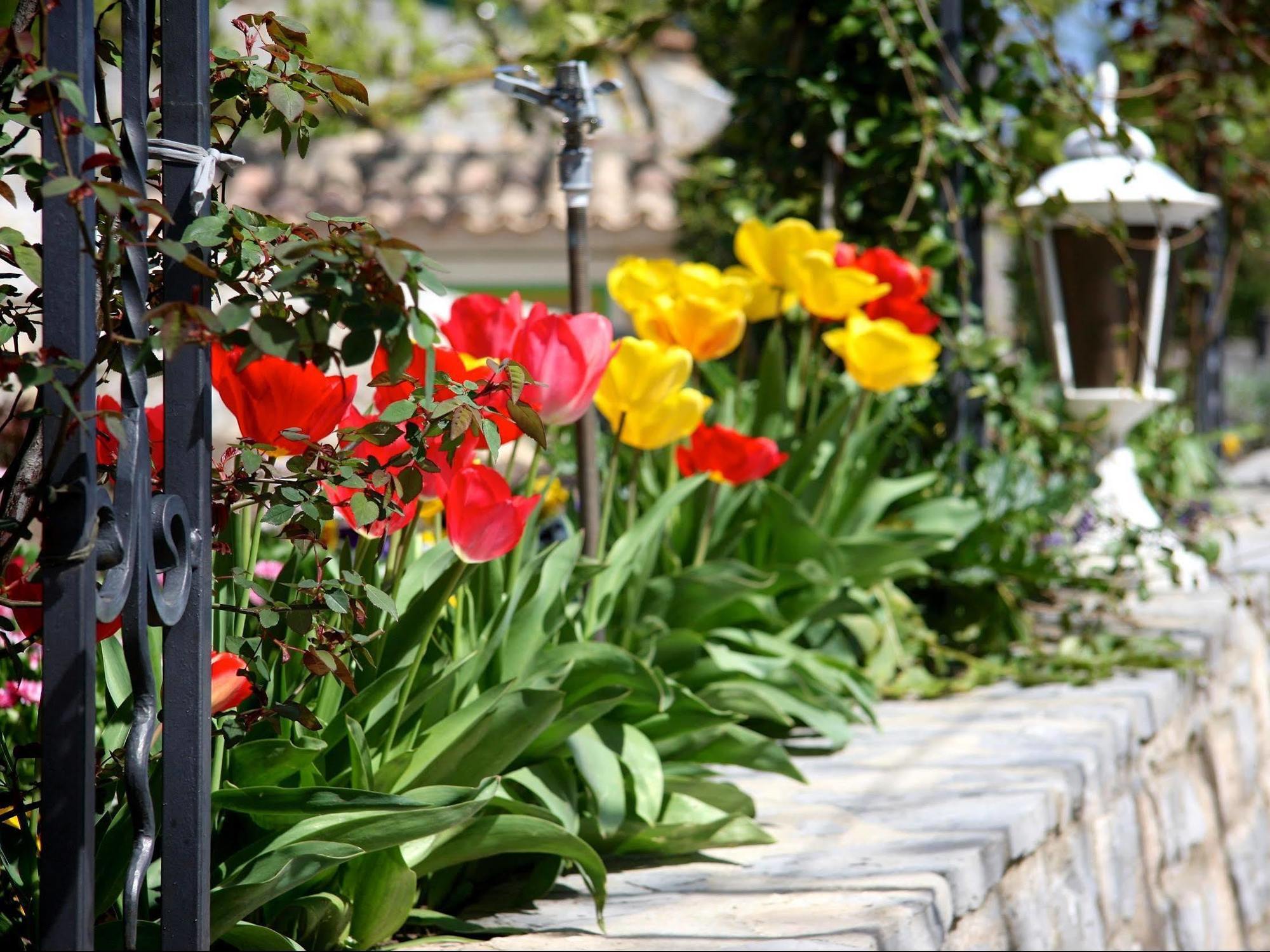 Logis Hotel Restaurant La Porte Des Cevennes อ็องดูซ ภายนอก รูปภาพ